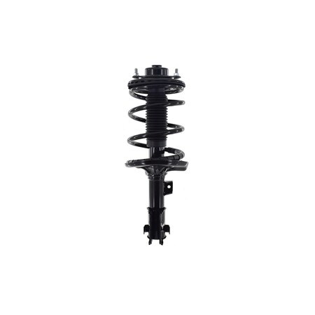 Fcs Struts COMPLETE STRUT ASSEMBLY 2331661L